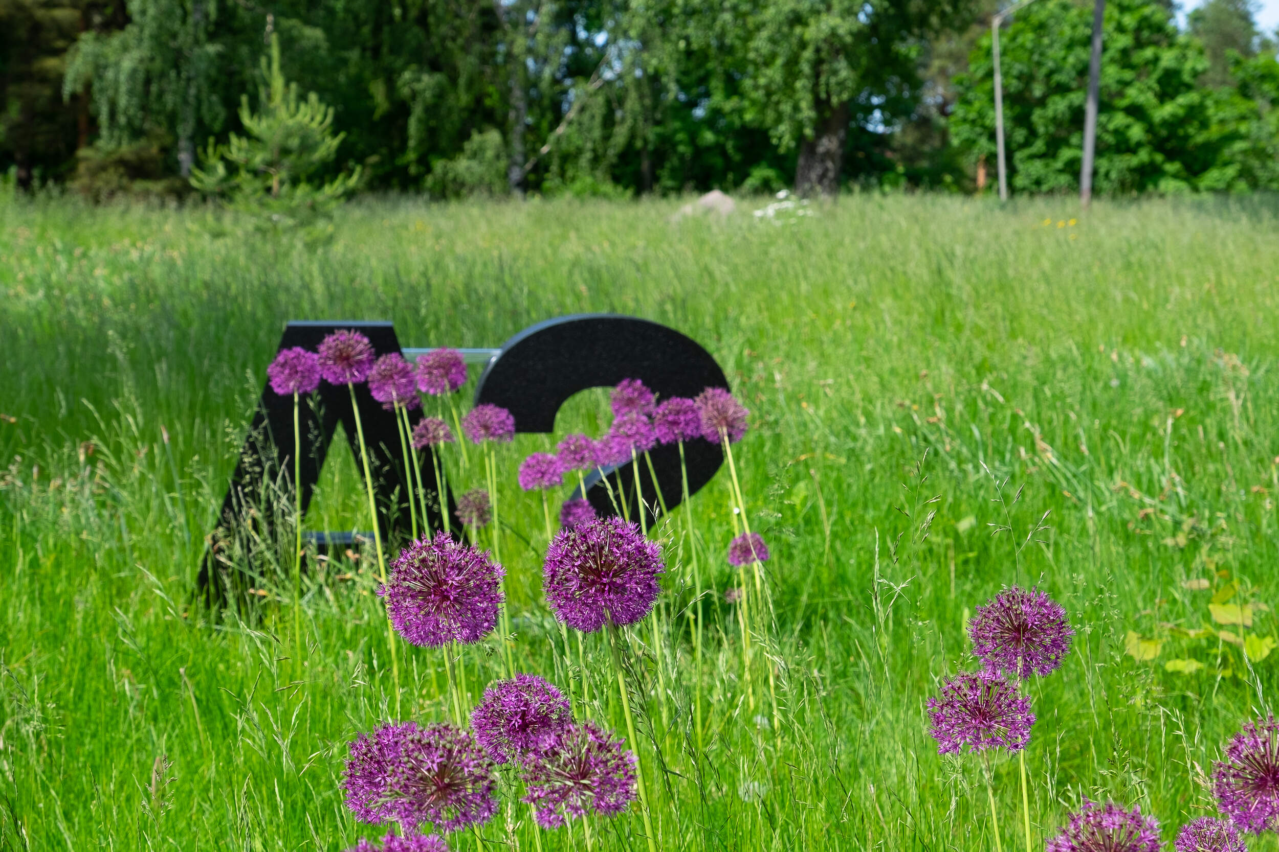 How to Succeed in the Ecosystem Game